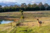 2453 Arthur Highway, Copping, Tas 7174-Image