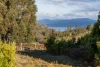 2453 Arthur Highway, Copping, Tas 7174-Image