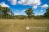 246 Bunburra Road, Bunburra, Qld 4310-Image