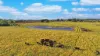 246 Bungaree - Wallace Road, Wallace, Vic 3352-Image
