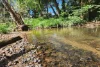 246 Diamond Valley Road, Diamond Valley, Qld 4553-Image
