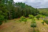 246 Ironbank Road, Ironbank, SA 5153-Image