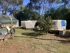 2462 Goldfields Way, Reefton, NSW 2666-Image