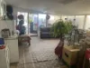 2462 Goldfields Way, Reefton, NSW 2666-Image