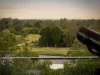 247 Harts Road, Indooroopilly, Qld 4068-Image