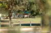 247 Third Street, Wonthella, WA 6530-Image