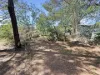 248 Henry Lawson Way, Young, NSW 2594-Image