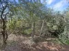 248 Henry Lawson Way, Young, NSW 2594-Image