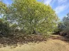 248 Henry Lawson Way, Young, NSW 2594-Image
