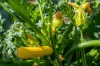 2480 Channel Highway, Lower Snug, Tas 7054-Image
