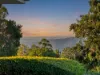249-251 Macdonnell Road, Tamborine Mountain, Qld 4272-Image