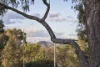 249 Hindmarsh Drive, Rivett, ACT 2611-Image