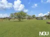 24A Harm Street, Lowood, Qld 4311-Image