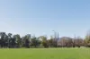 24B  Hovea Street, O'Connor, ACT 2602-Image
