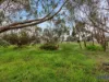 25-27 Breakneck Hill Road, Penrice, SA 5353-Image