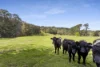 25 & 27 Thomas Road, Red Hill, Vic 3937-Image
