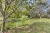 25 & 27 Thomas Road, Red Hill, Vic 3937-Image