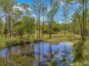 25-35 Rosella Court, South Maclean, Qld 4280-Image