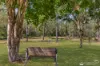 25-35 Rosella Court, South Maclean, Qld 4280-Image