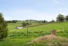 25 Agnes Street, Gembrook, Vic 3783-Image