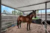 25 Alabar Crescent, Globe Derby Park, SA 5110-Image