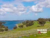 25 Ambition Drive, Greenvale, Vic 3059-Image