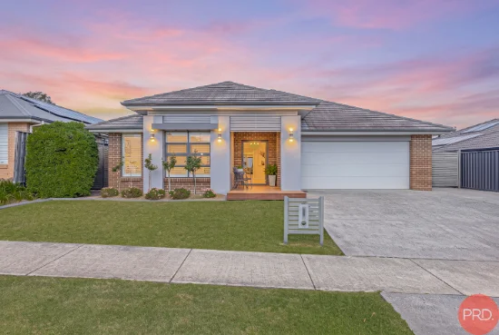 25 Arrowtail Street, Chisholm, NSW 2322