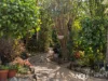 25 Ash Street, Yamanto, Qld 4305-Image