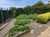 25 Auvale Crescent, Mount Gambier, SA 5290-Image