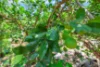 25 Bastin Road, Howard Springs, NT 0835-Image