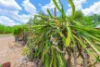 25 Bastin Road, Howard Springs, NT 0835-Image