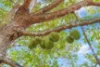 25 Bastin Road, Howard Springs, NT 0835-Image