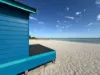 25 Beachbox, Capel Sound VIC 3940-Image