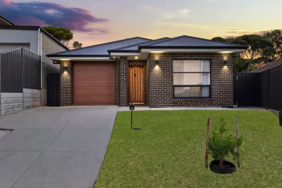 25 Bert Street, Modbury SA 5092-Image