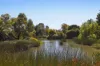 25 Besant Street, Hampton East, Vic 3188-Image