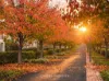 25 Bielski Cres, Oran Park, NSW 2570-Image