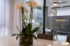 25 Bloomfield Cres, Taylor, ACT 2913-Image