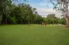 25 Brisbane Crescent, Barellan Point, Qld 4306-Image