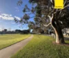 25 Bronze Street, Shepparton VIC 3630-Image