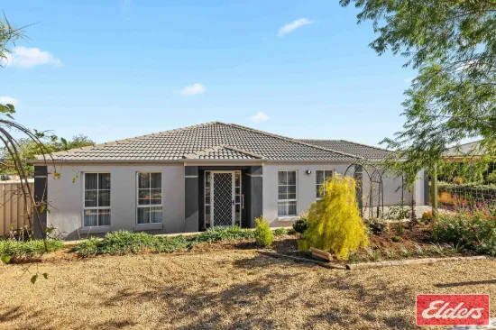 25 Carlisle Street, Williamstown, SA 5351