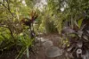 25 Central Avenue, Paddington, Qld 4064-Image