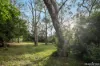 25 Centre Grove, Healesville, Vic 3777-Image