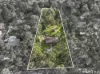 25 Centre Grove, Healesville, Vic 3777-Image