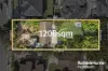 25 Chester Road, Ingleburn, NSW 2565