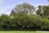 25 Clarke Street, Redesdale, Vic 3444-Image