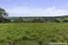 25 Clarke Street, Redesdale, Vic 3444-Image