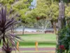 25 Clarkson Road, Maylands, WA 6051-Image