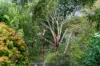 25 Coromandel Road, Aldgate, SA 5154-Image