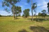 25 Crossley Drive, Narromine, NSW 2821-Image