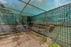 25 Crown Street, Junee NSW 2663-Image